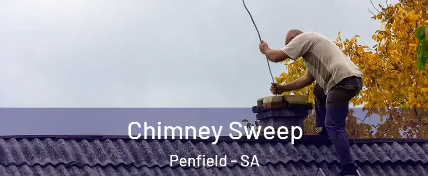 Chimney Sweep Penfield - SA