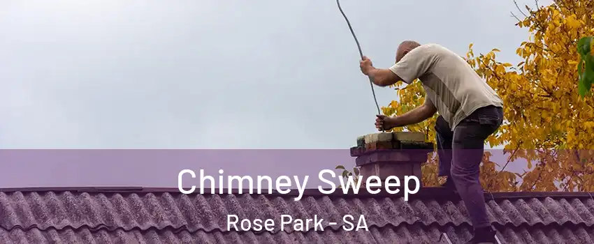 Chimney Sweep Rose Park - SA