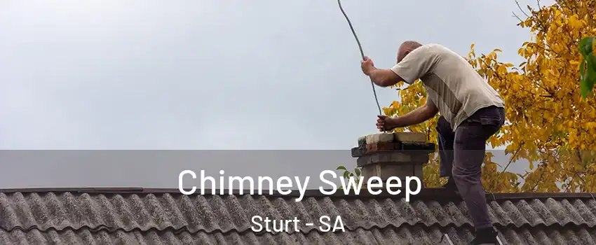 Chimney Sweep Sturt - SA