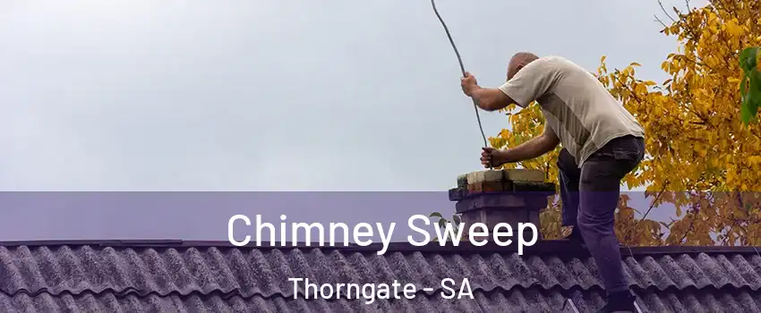 Chimney Sweep Thorngate - SA