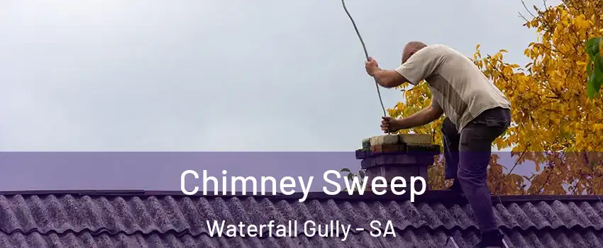 Chimney Sweep Waterfall Gully - SA