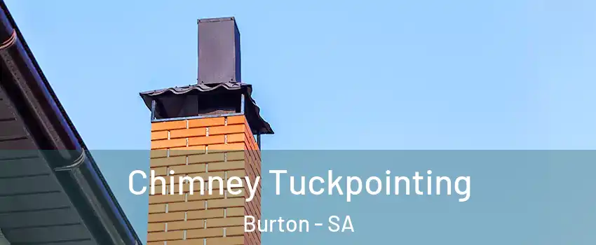  Chimney Tuckpointing Burton - SA