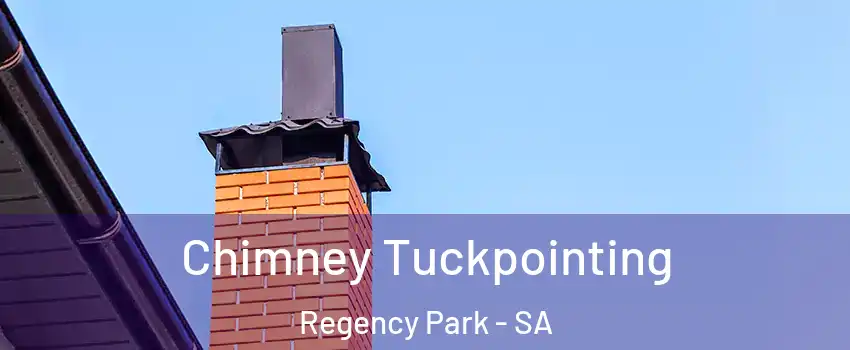 Chimney Tuckpointing Regency Park - SA