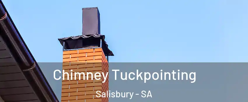 Chimney Tuckpointing Salisbury - SA