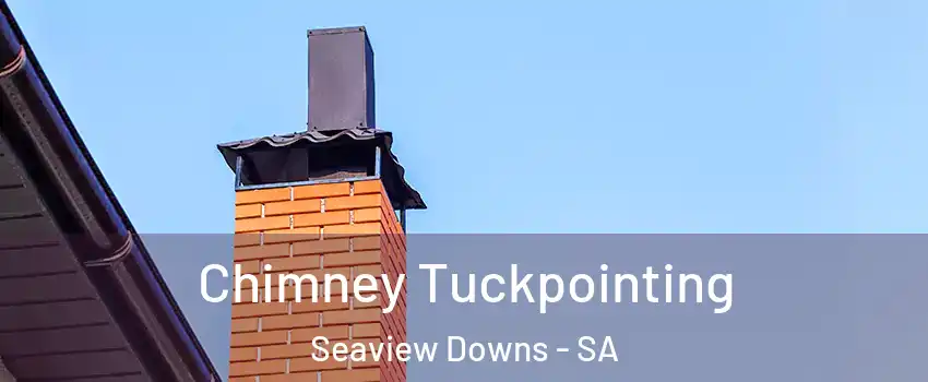 Chimney Tuckpointing Seaview Downs - SA
