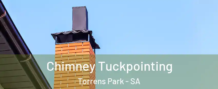 Chimney Tuckpointing Torrens Park - SA