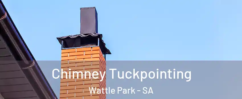 Chimney Tuckpointing Wattle Park - SA