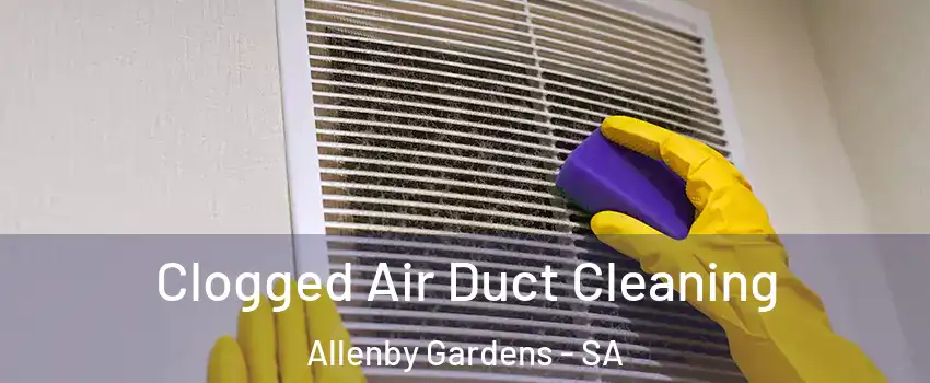 Clogged Air Duct Cleaning Allenby Gardens - SA
