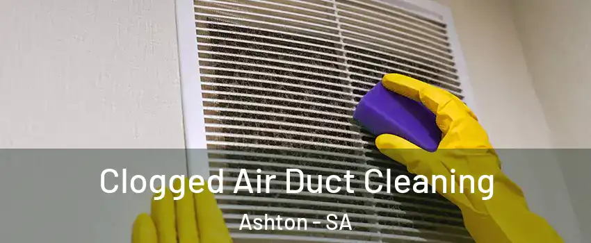 Clogged Air Duct Cleaning Ashton - SA
