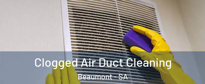 Clogged Air Duct Cleaning Beaumont - SA