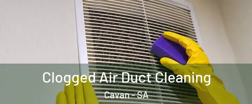 Clogged Air Duct Cleaning Cavan - SA