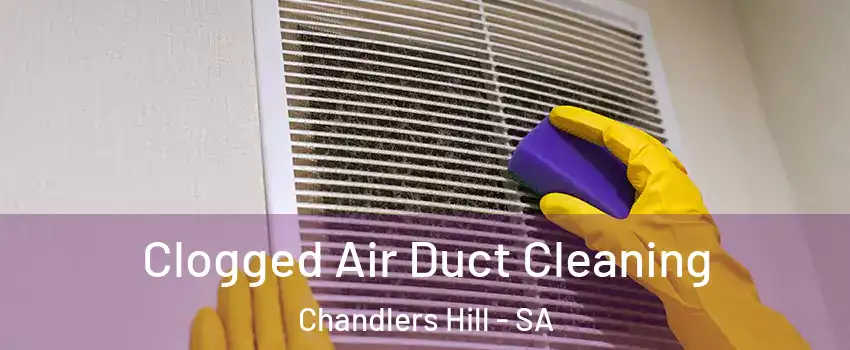 Clogged Air Duct Cleaning Chandlers Hill - SA