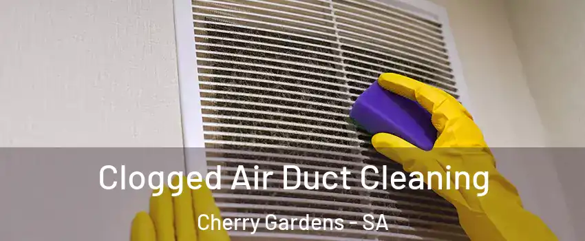 Clogged Air Duct Cleaning Cherry Gardens - SA