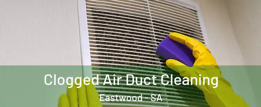 Clogged Air Duct Cleaning Eastwood - SA