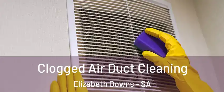 Clogged Air Duct Cleaning Elizabeth Downs - SA