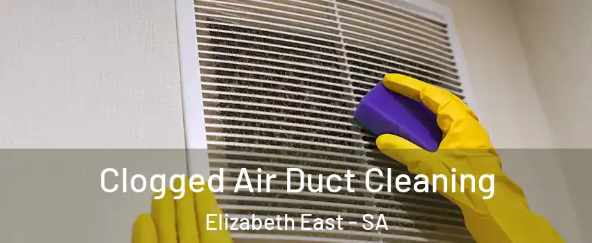Clogged Air Duct Cleaning Elizabeth East - SA