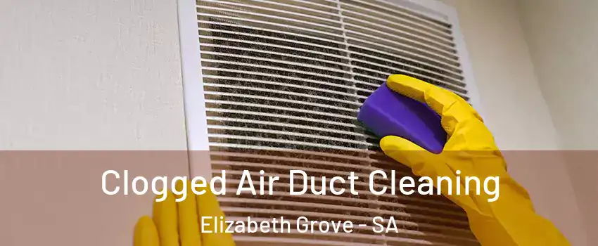 Clogged Air Duct Cleaning Elizabeth Grove - SA