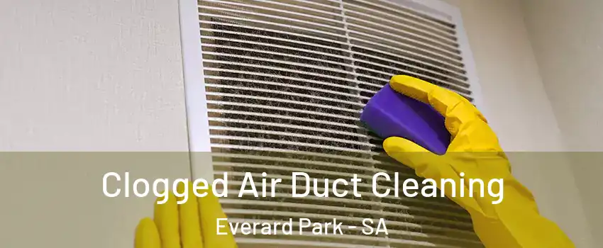 Clogged Air Duct Cleaning Everard Park - SA