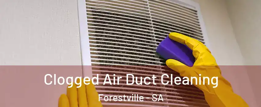 Clogged Air Duct Cleaning Forestville - SA