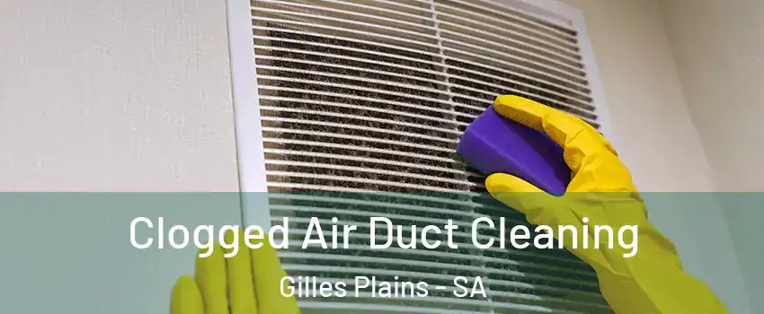 Clogged Air Duct Cleaning Gilles Plains - SA