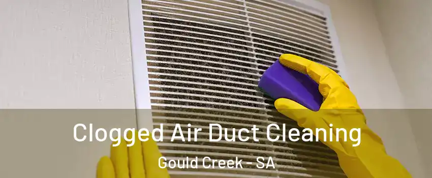 Clogged Air Duct Cleaning Gould Creek - SA