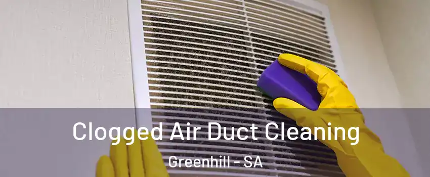 Clogged Air Duct Cleaning Greenhill - SA