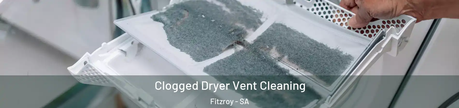 Clogged Dryer Vent Cleaning Fitzroy - SA