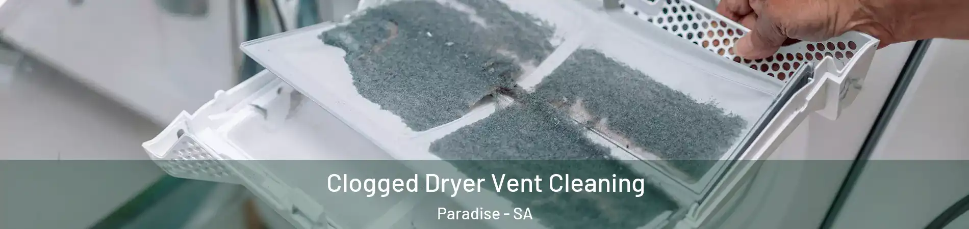 Clogged Dryer Vent Cleaning Paradise - SA