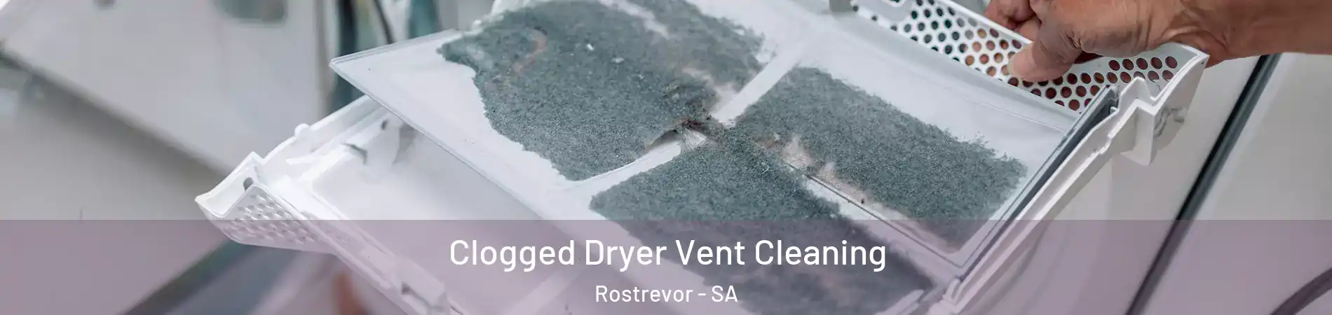 Clogged Dryer Vent Cleaning Rostrevor - SA