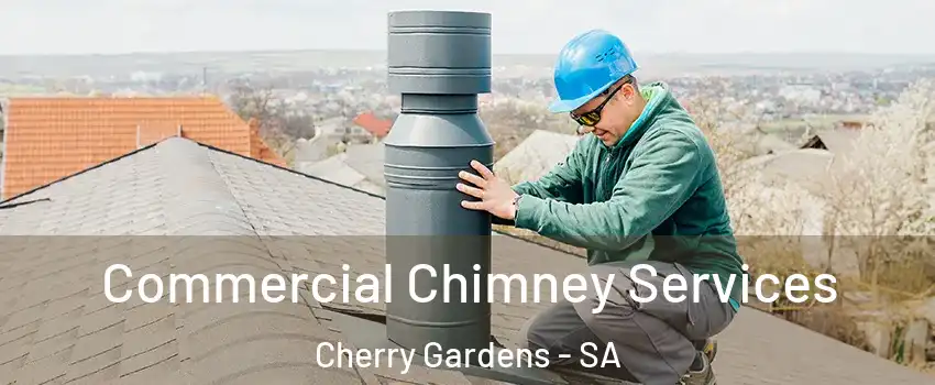  Commercial Chimney Services Cherry Gardens - SA