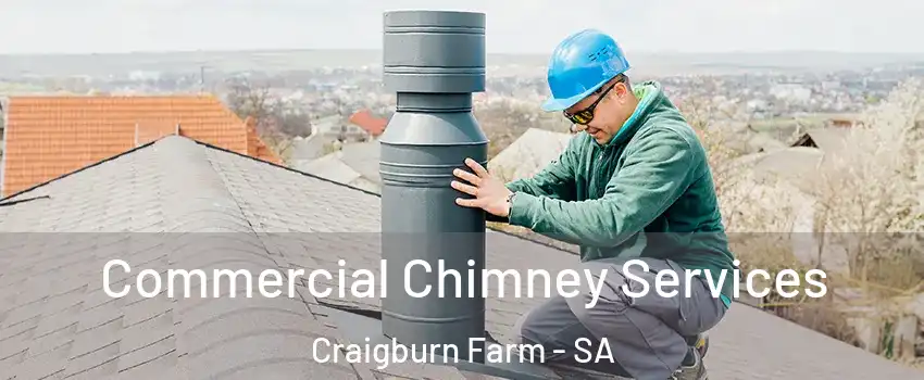 Commercial Chimney Services Craigburn Farm - SA