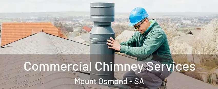 Commercial Chimney Services Mount Osmond - SA