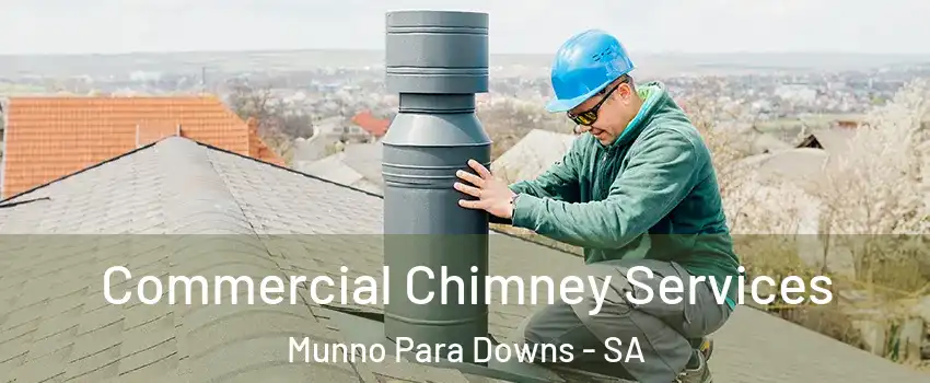 Commercial Chimney Services Munno Para Downs - SA