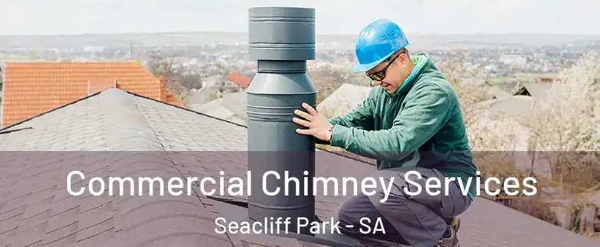 Commercial Chimney Services Seacliff Park - SA