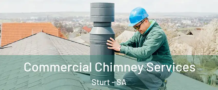 Commercial Chimney Services Sturt - SA