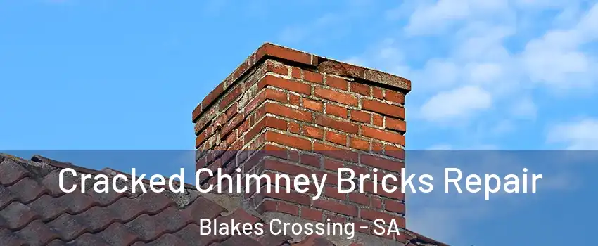  Cracked Chimney Bricks Repair Blakes Crossing - SA