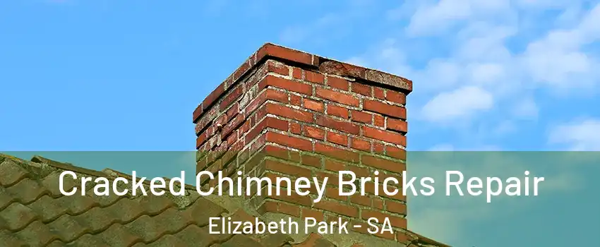 Cracked Chimney Bricks Repair Elizabeth Park - SA