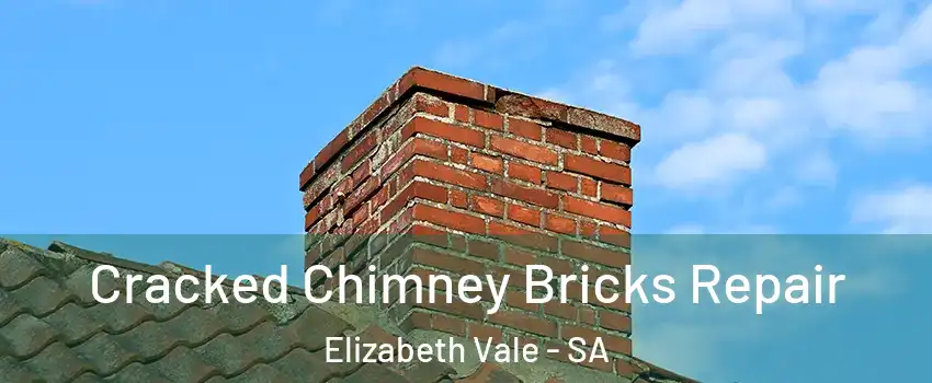 Cracked Chimney Bricks Repair Elizabeth Vale - SA