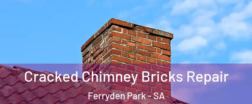 Cracked Chimney Bricks Repair Ferryden Park - SA