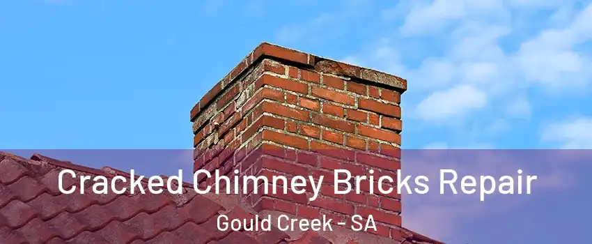  Cracked Chimney Bricks Repair Gould Creek - SA