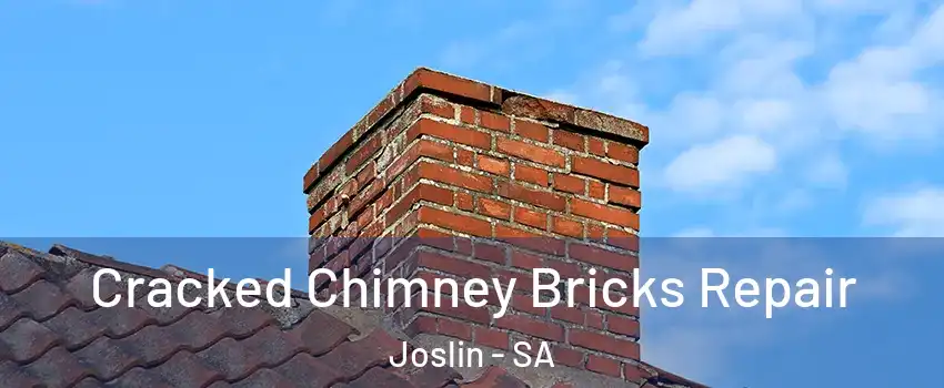 Cracked Chimney Bricks Repair Joslin - SA