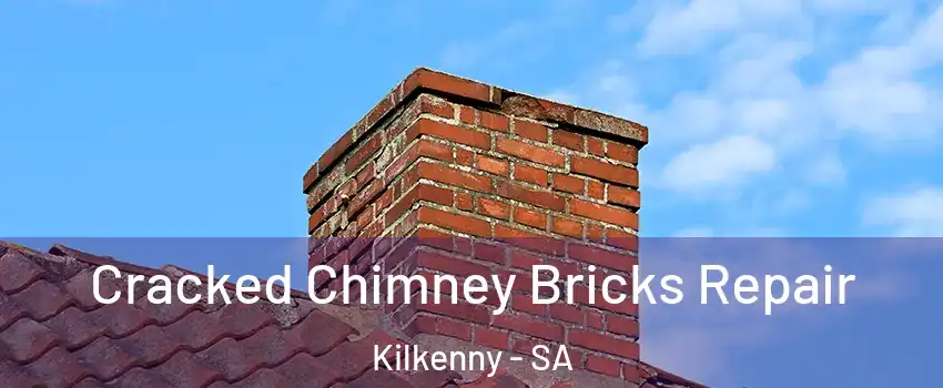 Cracked Chimney Bricks Repair Kilkenny - SA