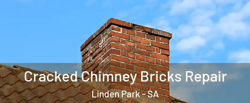 Cracked Chimney Bricks Repair Linden Park - SA