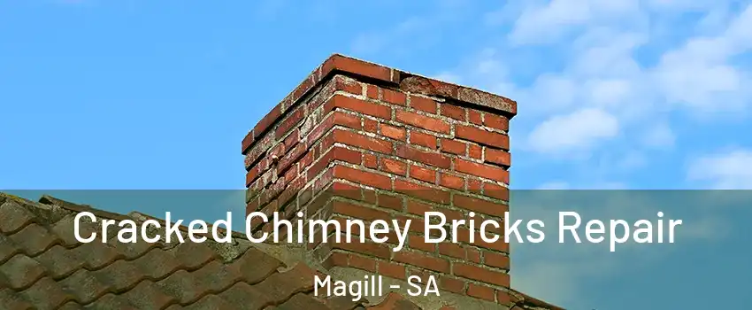 Cracked Chimney Bricks Repair Magill - SA