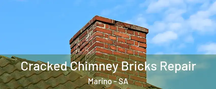 Cracked Chimney Bricks Repair Marino - SA