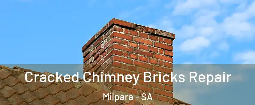 Cracked Chimney Bricks Repair Milpara - SA
