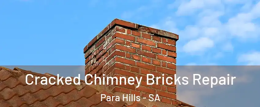 Cracked Chimney Bricks Repair Para Hills - SA
