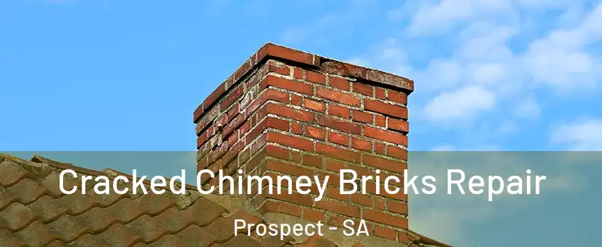 Cracked Chimney Bricks Repair Prospect - SA