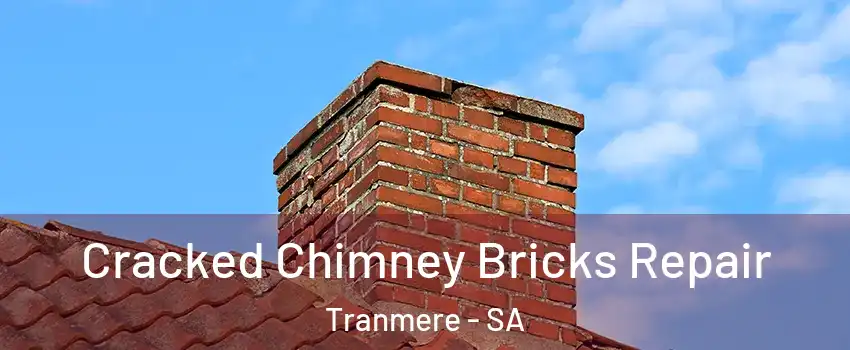 Cracked Chimney Bricks Repair Tranmere - SA