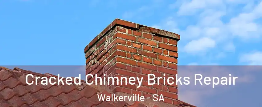 Cracked Chimney Bricks Repair Walkerville - SA